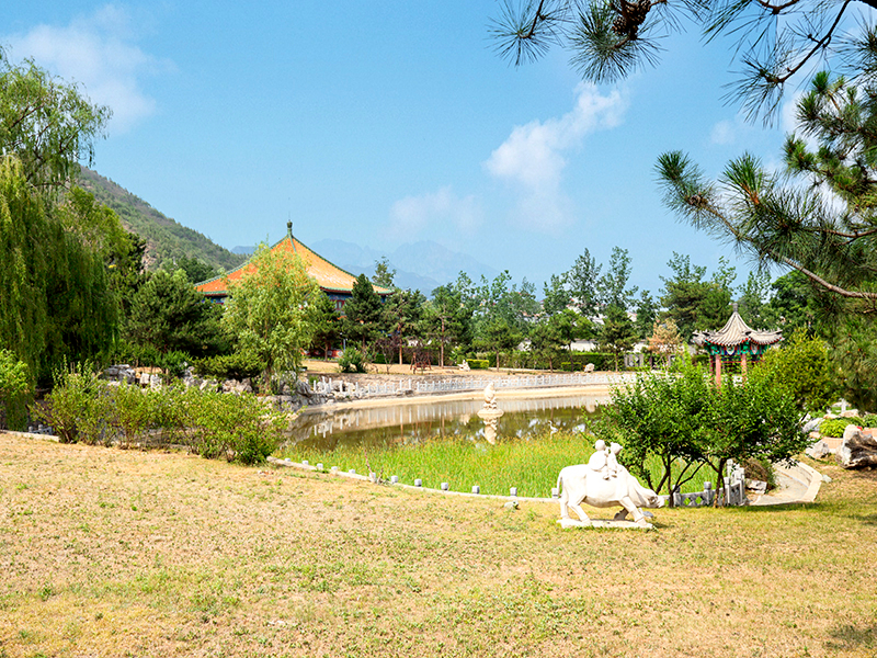 在陵园碑型上，天寿陵园和桃峰陵园哪个碑型更多（天寿和桃峰怎么选择）